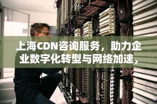 上海CDN咨询服务，助力企业数字化转型与网络加速，cdn服务公司
