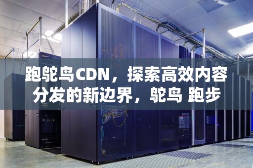 跑鸵鸟CDN，探索高效内容分发的新边界，鸵鸟 跑步