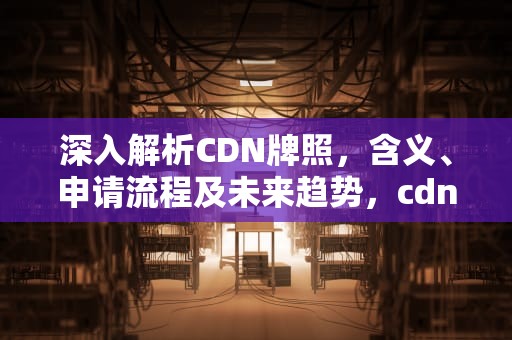 深入解析CDN牌照，含义、申请流程及未来趋势，cdn牌照怎么查询