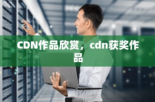 CDN作品欣赏，cdn获奖作品