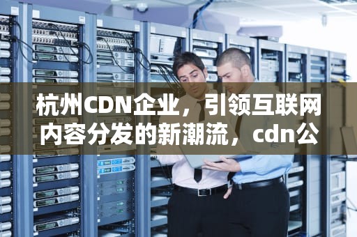 杭州CDN企业，引领互联网内容分发的新潮流，cdn公司