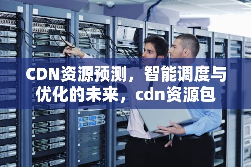 CDN资源预测，智能调度与优化的未来，cdn资源包