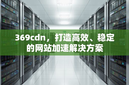 369cdn，打造高效、稳定的网站加速解决方案