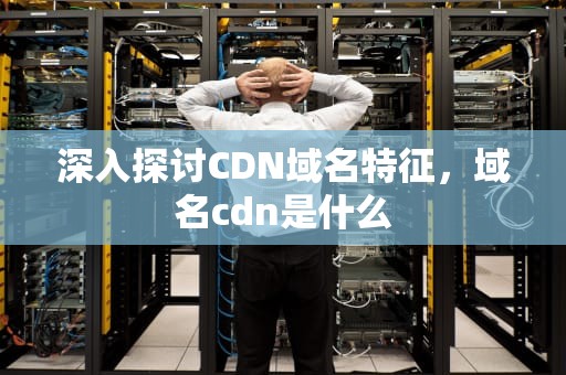 深入探讨CDN域名特征，域名cdn是什么