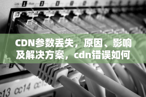 CDN参数丢失，原因、影响及解决方案，cdn错误如何解决