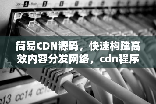 简易CDN源码，快速构建高效内容分发网络，cdn程序源码
