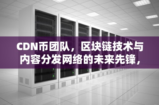 CDN币团队，区块链技术与内容分发网络的未来先锋，cdn 币
