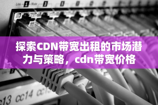 探索CDN带宽出租的市场潜力与策略，cdn带宽价格