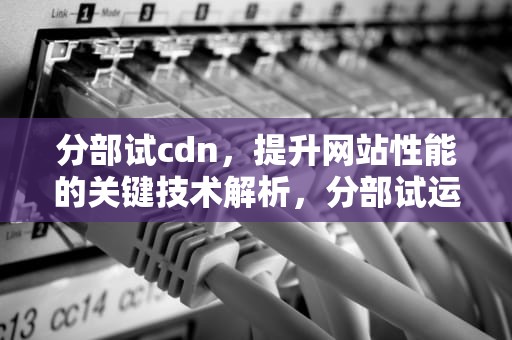 分部试cdn，提升网站性能的关键技术解析，分部试运包括