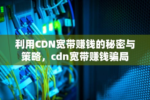 利用CDN宽带赚钱的秘密与策略，cdn宽带赚钱骗局