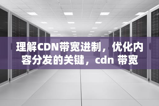 理解CDN带宽进制，优化内容分发的关键，cdn 带宽