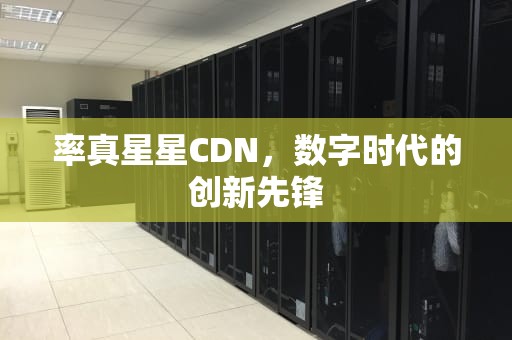 率真星星CDN，数字时代的创新先锋