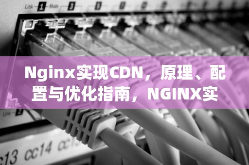 Nginx实现CDN，原理、配置与优化指南，NGINX实现快照