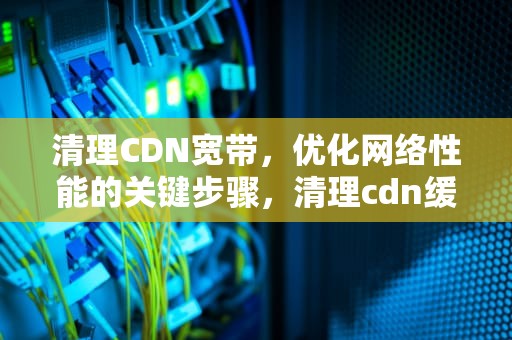 清理CDN宽带，优化网络性能的关键步骤，清理cdn缓存
