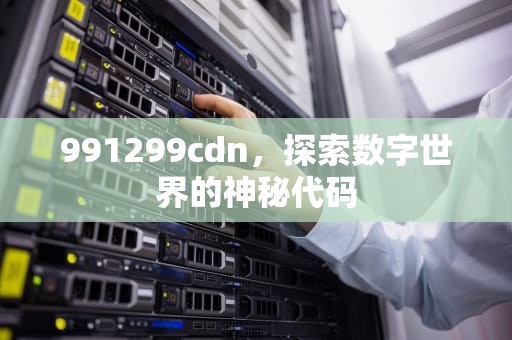 991299cdn，探索数字世界的神秘代码
