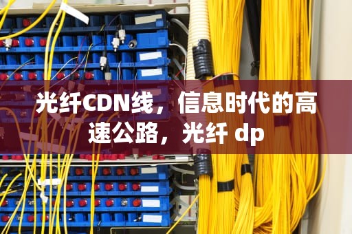 光纤CDN线，信息时代的高速公路，光纤 dp