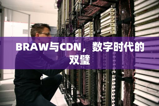 BRAW与CDN，数字时代的双璧