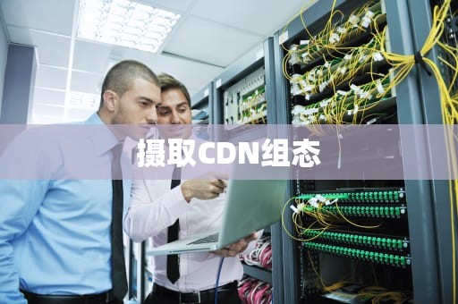 摄取CDN组态