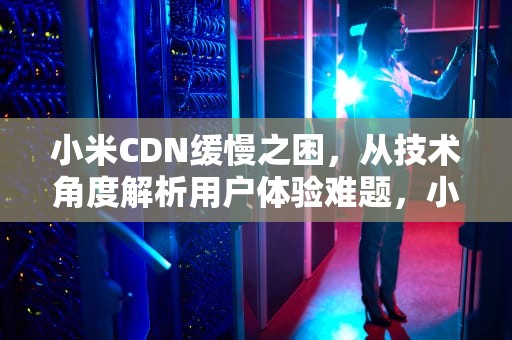 小米CDN缓慢之困，从技术角度解析用户体验难题，小米cdn资源访问出现问题