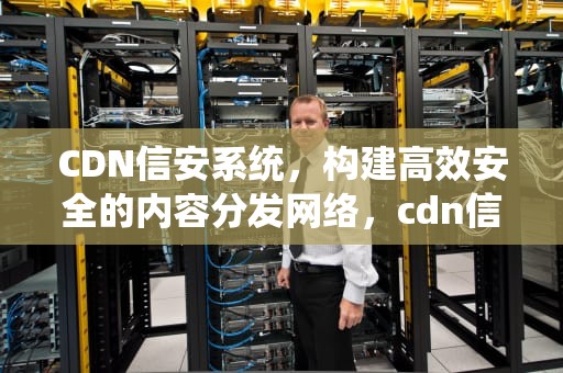CDN信安系统，构建高效安全的内容分发网络，cdn信安系统如何办理
