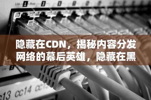 隐藏在CDN，揭秘内容分发网络的幕后英雄，隐藏在黑暗的钥匙啊显示你真正的力量吧