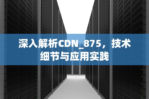 深入解析CDN_875，技术细节与应用实践