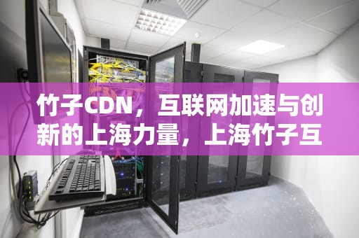 竹子CDN，互联网加速与创新的上海力量，上海竹子互联网有限公司
