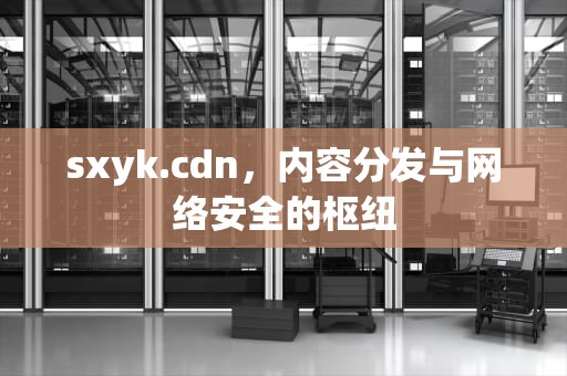 sxyk.cdn，内容分发与网络安全的枢纽