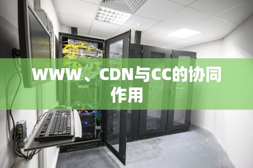 WWW、CDN与CC的协同作用