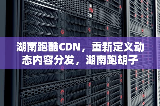 湖南跑酷CDN，重新定义动态内容分发，湖南跑胡子