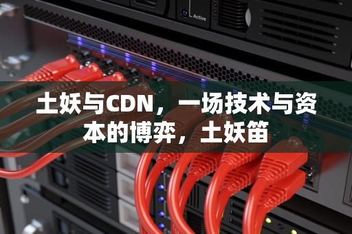 土妖与CDN，一场技术与资本的博弈，土妖笛