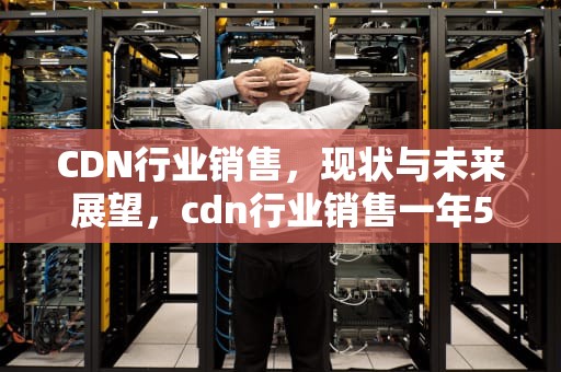 CDN行业销售，现状与未来展望，cdn行业销售一年500万什么水平