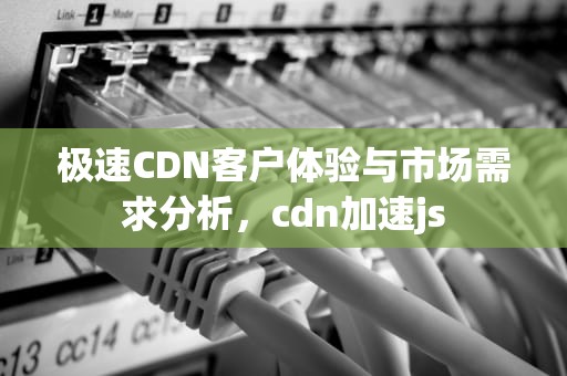 极速CDN客户体验与市场需求分析，cdn加速js