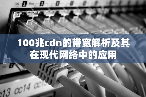 100兆cdn的带宽解析及其在现代网络中的应用