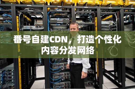 番号自建CDN，打造个性化内容分发网络