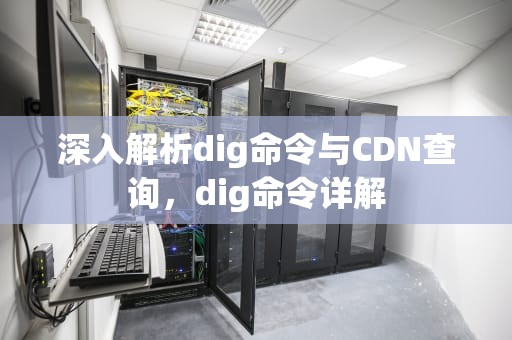 深入解析dig命令与CDN查询，dig命令详解