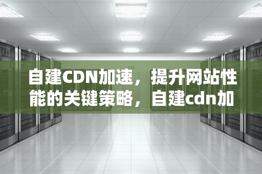 自建CDN加速，提升网站性能的关键策略，自建cdn加速防御