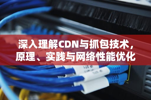 深入理解CDN与抓包技术，原理、实践与网络性能优化，cdn抓包