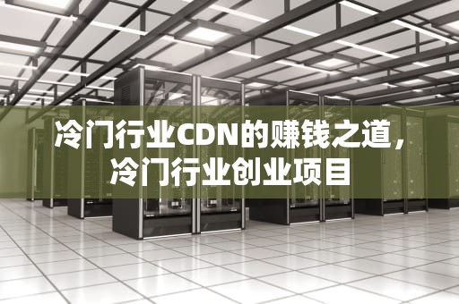 冷门行业CDN的赚钱之道，冷门行业创业项目