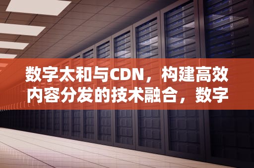 数字太和与CDN，构建高效内容分发的技术融合，数字太和 陈超