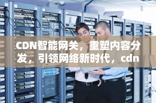 CDN智能网关，重塑内容分发，引领网络新时代，cdn 网关