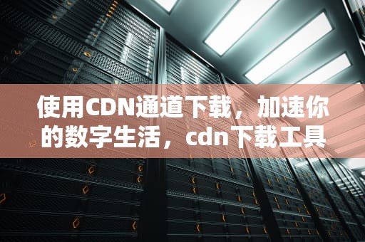 使用CDN通道下载，加速你的数字生活，cdn下载工具