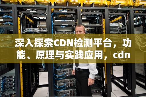 深入探索CDN检测平台，功能、原理与实践应用，cdn检测是什么