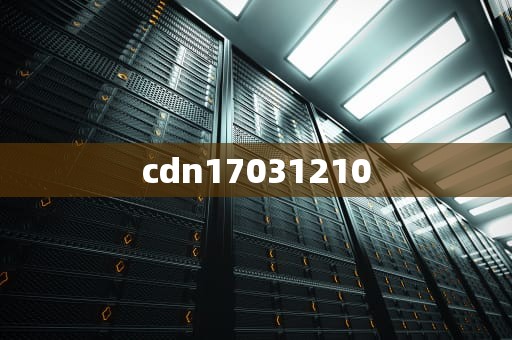 cdn17031210