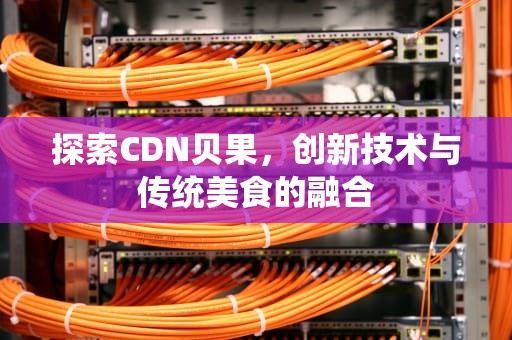 探索CDN贝果，创新技术与传统美食的融合