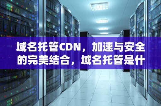 域名托管CDN，加速与安全的完美结合，域名托管是什么意思