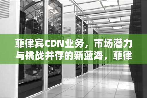 菲律宾CDN业务，市场潜力与挑战并存的新蓝海，菲律宾最快dns