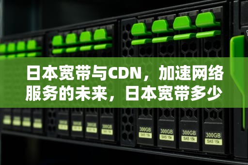 日本宽带与CDN，加速网络服务的未来，日本宽带多少钱一个月