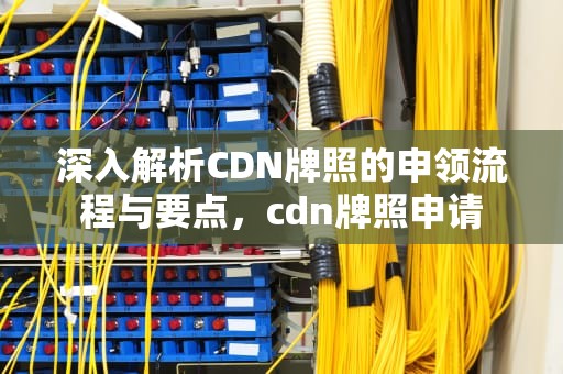 深入解析CDN牌照的申领流程与要点，cdn牌照申请