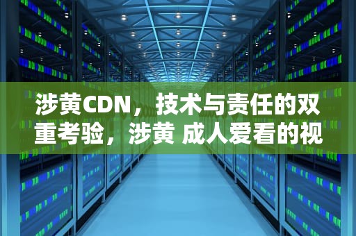 涉黄CDN，技术与责任的双重考验，涉黄 成人爱看的视频网站大全